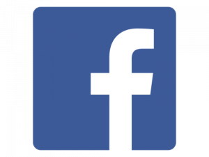 Facebook Landiner Ponyhof